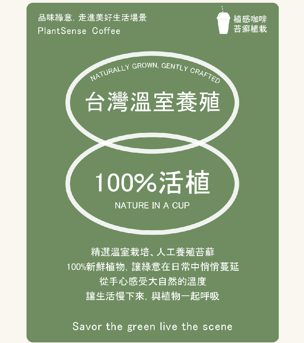 100%新鮮植物,讓綠意在日常中悄悄蔓延