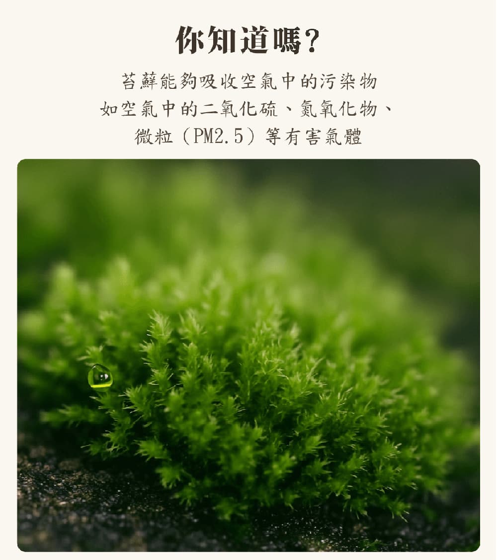你知道嗎 苔蘚能夠吸收空氣中的污染物 如空氣中的二氧化硫、氮氧化物、 微粒PM2.5等有害氣體 