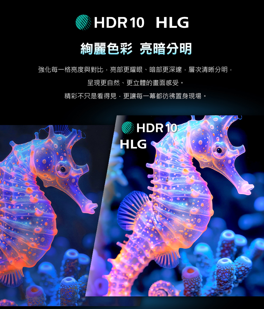 絢麗色彩 亮暗分明 強化每一格亮度與對比,亮部更耀眼、暗部更深邃,層次清晰分明, 呈現更自然、更立體的畫面感受。 精彩不只是看得見,更讓每一幕都彷彿置身現場。