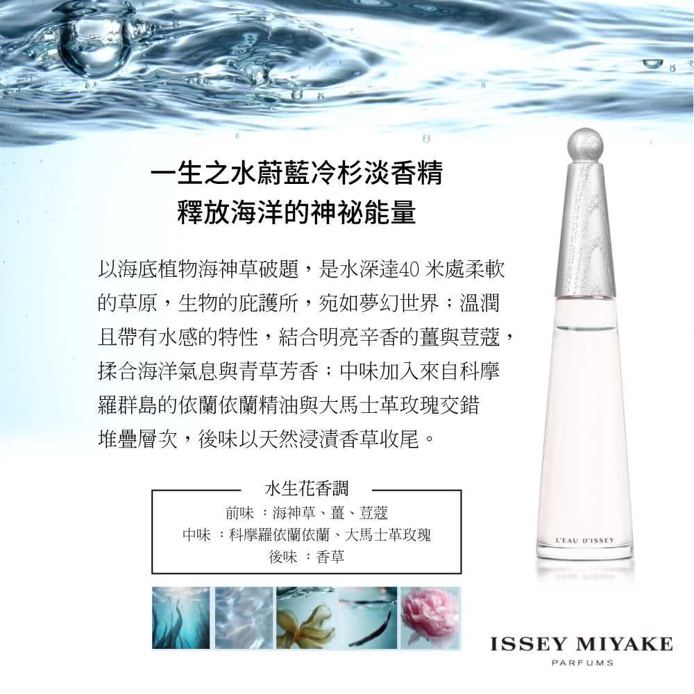 以海底植物海神草破題,是水深達40米處柔軟