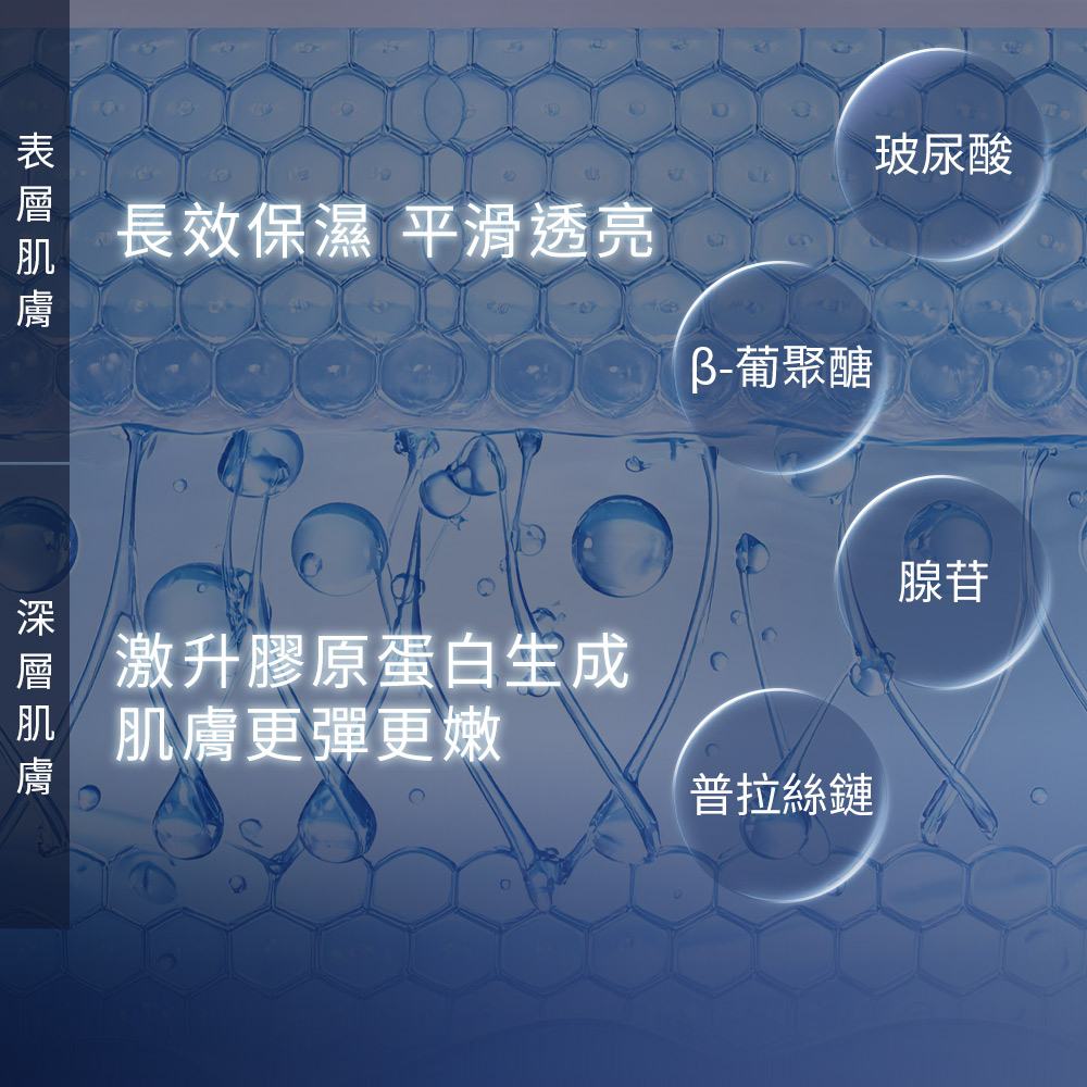 層 激升膠原蛋白生成