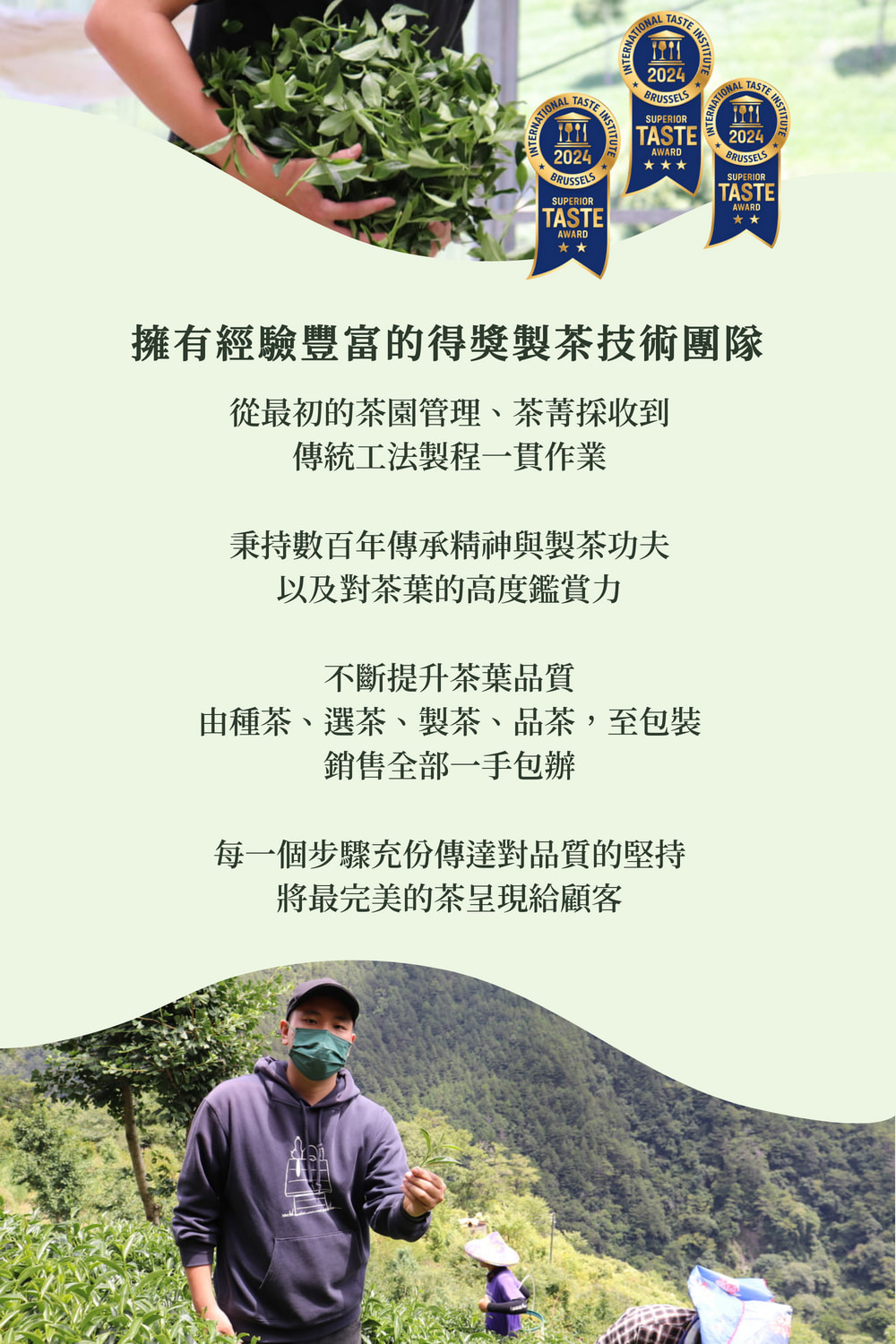 由種茶、選茶、製茶、品茶,至包裝