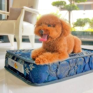 【凱蕾絲帝】寵物專用獨立筒彈簧床墊(特大-60*120*11cm)