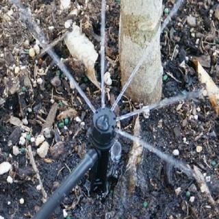 【灑水達人】五孔可調滴頭180度插針20個