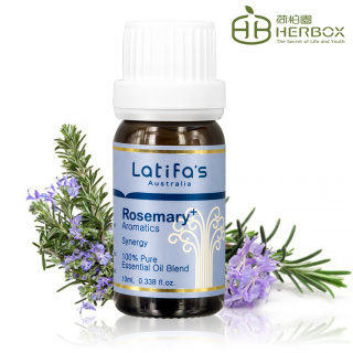 【Herbox 荷柏園】全神貫注 複方精油 10ml(Rosemary+)限量出清