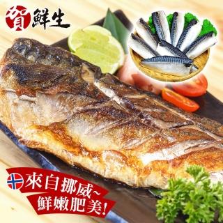 【賀鮮生】超厚片挪威薄鹽鯖魚15片(190g/片)