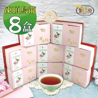 【龍源茶品】台灣鵲茗凍頂烏龍茶葉100gx8盒(共800g;附提袋;春茶)