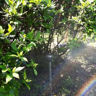 【灑水達人】圓型可調滴頭加四分外牙延伸2分PE管50公分5支(黑)