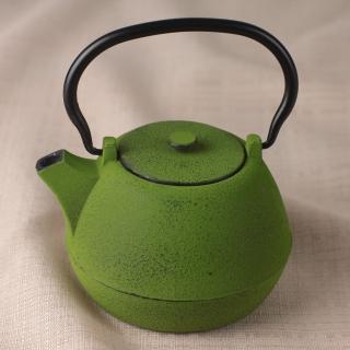 【日本CB JAPAN】TEKKI系列鑄鐵急須泡茶壺0.9L林-綠