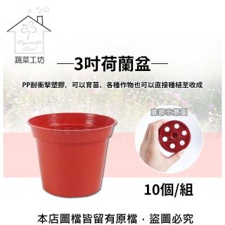 【蔬菜工坊005-C38】3吋荷蘭盆10個/組(栽培盆)
