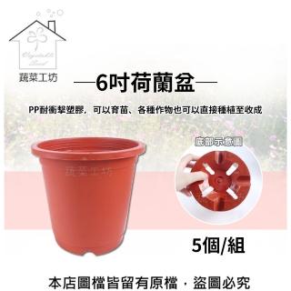 【蔬菜工坊005-C74】6吋荷蘭盆5個/組(栽培盆)