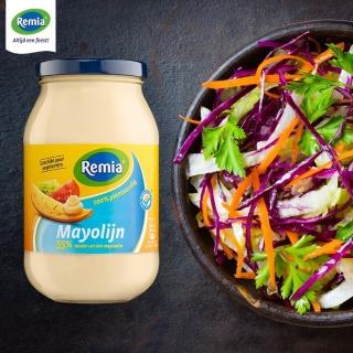 【荷蘭REMIA瑞米亞】美乃滋250ML(蛋白醬 美乃滋 沙拉醬)