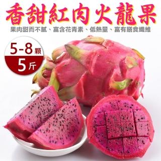 【果農直配】冠軍南投紅肉火龍果(5-8入/約5斤)