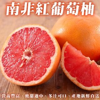 【WANG 蔬果-中秋禮盒】南非紅葡萄柚(原箱50-60顆/約15kg)