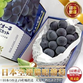 【WANG 蔬果-中秋禮盒】日本岡山貓眼葡萄禮盒(4串_550-600g/串)