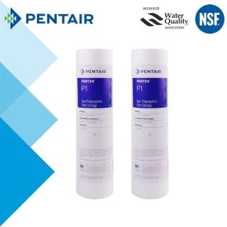 【怡康】PENTAIR 標準10吋1微米PP棉濾芯-2支組