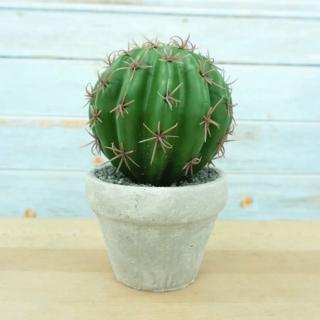 【Meric Garden】中型仿真多肉療癒盆栽(圓錐花座球)