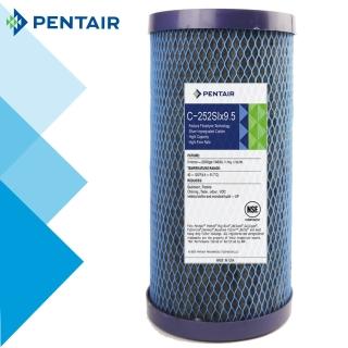 【怡康】PENTAIR 標準10吋大胖纖維活性碳濾心