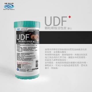 【怡康】10吋大胖UDF椰殼活性碳濾心1入(全屋濾心 全屋過濾)