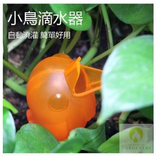 10大 Gardeners 小鳥自動滴水器1入 盆栽滲水器 澆水器 自動澆灌 推薦 19年版 小可小朵寶貝生活誌