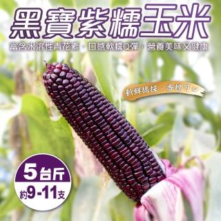【果農直配】黑寶紫糯米玉米(5斤±10%)