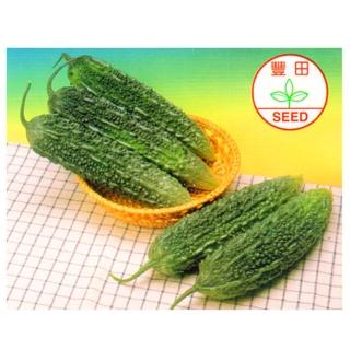 【蔬菜工坊】G39.青珍珠苦瓜種子2顆