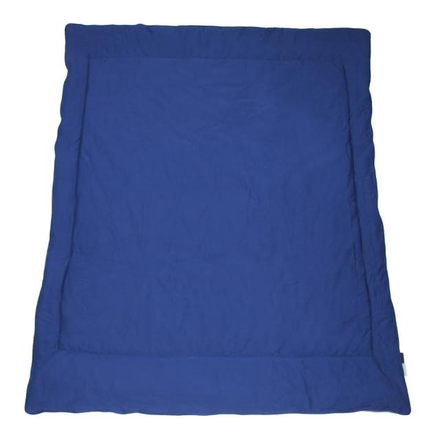 Yvonne Collection 搗蛋狗小四季被4x5呎 寶藍 剪毛布 Momo購物網 Yvonne Collection 搗蛋狗小四季被4x5呎 寶藍 剪毛布 Momo購物網
