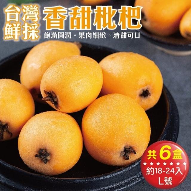 【WANG 蔬果】台灣嚴選M號枇杷24入(6盒/每盒約500g±10%含盒重)