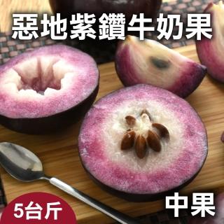 【台灣好農】惡地紫鑽牛奶果_大果_5台斤(牛奶果)