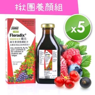 【歐洲屋】德國草本液-Floradix鐵元250ml(5瓶超值組)