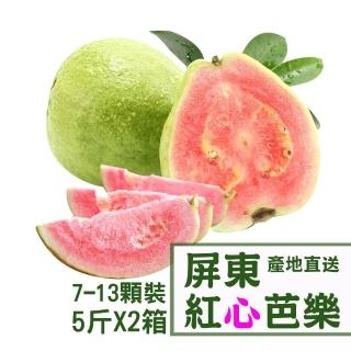 【產地直送】屏東紅心芭樂5台斤X2箱(7-13顆/箱)