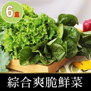 【會呼吸的菜】綜合水耕鮮菜6盒+贈沙拉醬6包(150g±5%/盒)