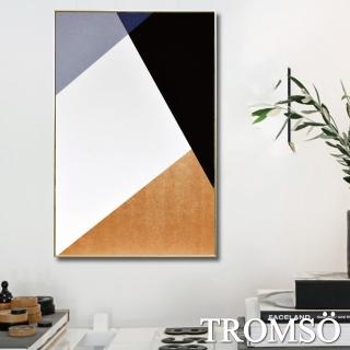 【TROMSO】北歐風尚板畫有框畫-北歐時尚幾何WA86(有框畫掛畫掛飾)