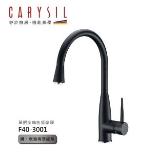 【CARYSIL德國珂瑞水槽】單把旋轉廚房龍頭(F40-3001)