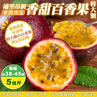【果農直配】埔里吊網香甜百香果-大顆(5斤/箱)