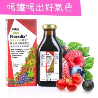 【歐洲屋】德國草本液-Floradix鐵元250ml(天然植物二價鐵)