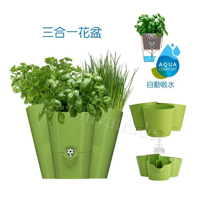 德國emsa 三合一園藝自動吸水器吸水花盆美化花盆植栽盆栽浮標缺水提示 綠 德國設計美學 Momo購物網 德國emsa 三合一園藝自動吸水器吸水花盆美化花盆植栽盆栽浮標缺水提示 綠 德國設計美學 Momo購物網