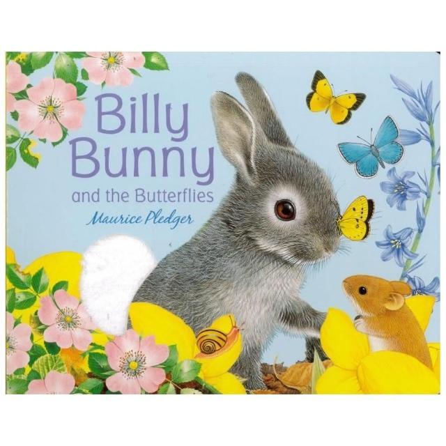 Billy Bunny and the Butte | 拾書所