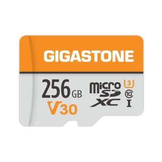 6849813 OL 【GIGASTONE 立達】microSDXC UHS-Ⅰ U3 V30 256GB相機攝影記憶卡(支援相機/行車紀錄器/監視器)