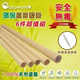 【OZAWA大澤】天然環保蘆葦吸管 x2包 附清潔細刷(環保吸管.環保餐具)