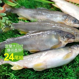 【優鮮配】宜蘭大尺寸爆卵香魚24尾組(12尾/盒 共2盒)