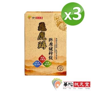 【華陀扶元堂】龜鹿鱘膠原鍵行錠3盒(30錠/盒)