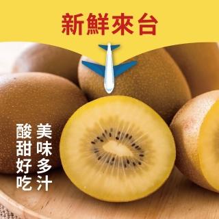 【水果達人】紐西蘭大顆黃金奇異果11-13顆禮盒*2箱(1.7kg+-10%/箱)