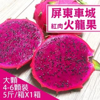 【產地直送】屏東車城紅肉火龍果5斤X1箱(5-6顆/箱)