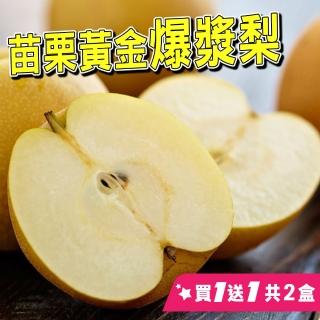 【台灣紅-中秋禮盒】黃金爆漿梨(八顆/5.5斤裝/禮盒*2盒)