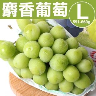 【甜露露-中秋禮盒】日本麝香葡萄L(591-660g/串)