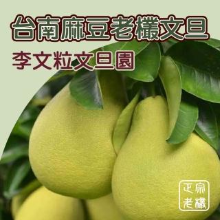 【黑貓嚴選-中秋禮盒】台南李文粒文旦園頂級文旦10斤/約6kg裝(7-9顆)