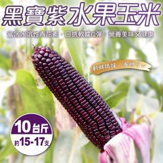 【小農直配】黑寶紫水果玉米(10斤±10%)