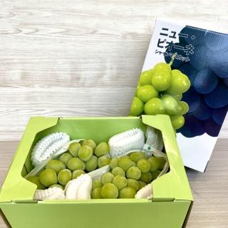 【馥果FruitGo】日本空運麝香葡萄 2串禮盒/1kg(麝香葡萄)
