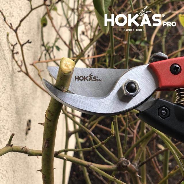 Hokas S841 鋁柄專業修枝剪園藝剪刀 樹枝剪花剪剪定鋏嫁接剪採果剪 Momo購物網